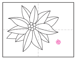 The shape of the poinsettia is drawn in a hb pencil. How To Draw A Poinsettia Art Projects For Kids