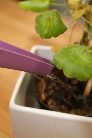 This analog design means no batteries are required, just push the probes into the soil, wait. My Potted Plant Is Too Dry How To Rehydrate Container Plants