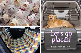 Brand new with guaranteed assurance, at reseller price. The Best Travel Accessories For Your Pet Mount Airy Toyota