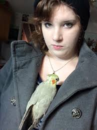 Stimky birb. Roasting good bois