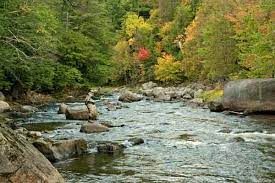 We did not find results for: River Meets Road Connecting Adirondack Brook Trout Streams