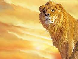Pin By Rick On Crafty Lion Pictures Lion Wallpaper Lion