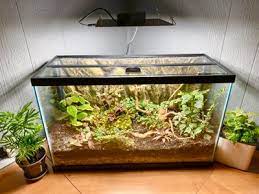 The front runner water bags are durable, work well in tight spaces, and fold compact when empty. Turn An Aquarium Into A Terrarium 9 Super Easy Steps