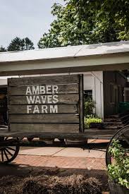 Strawberry fields flowers & gifts. Amber Waves Farm Waves In The Kitchen