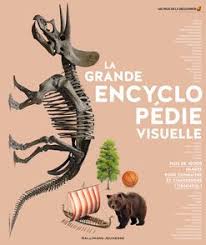 Dès le plus jeune âge, les enfants se familiarisent avec les sonorités de la langue française avec des dessins animés, des films d'animation, des clips musicaux, des tutoriels d'activités manuelles. Livre La Grande Encyclopedie Gallimard Jeunesse