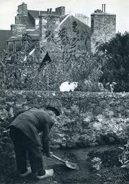 Edward Buba Edouard Boubat Gratitude Expressed Photos France Ouest Black White Photography Et Photojournalism