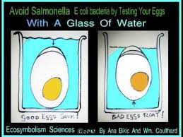 Eggs are a delicious ingredient that can be used in a variety of dishes. How To Know If Eggs Are Good Egg Test Egg Scare 2010 Salmonella And E Coli News Egg Recall Youtube