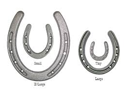 Image result for minature horse shoes