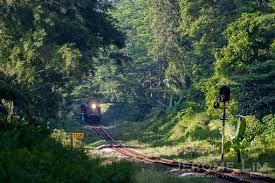 Tanglin railway station is railroad station (spot, building, farm), a facility comprising ticket office, platforms, etc. The Rail Corridor At The Halt At Tanglin The Independent Singapore News