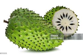 Image result for Annona muricata