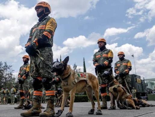 📌 Cinco pelotones de soldados rescatistas del Ejército Nacional de Colombia  se preparan para apoyar las zonas afectadas por el sismo de magnitud 7.4  que sacudió al país. 🔴 Un contingente de