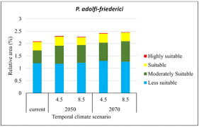 Image result for Pouteria adolfi-friederici