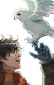 Vito Asaro, Jr (vasarojr)