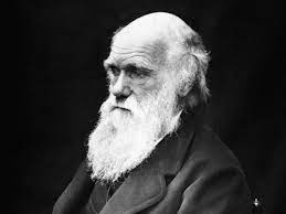 As well as markets, crocodiles and cruises, you'll find strong aboriginal cultures here, as evidenced by the array of languages spoken in the streets and the vibrant aboriginal art that fills the city's galleries, museums and streetscapes. Litt Charles Darwin An Me Cfs Deutsche Gesellschaft Fur Me Cfs