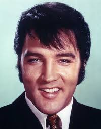 I AM AN ELVIS FAN [887254233428]