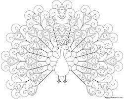 Get these exotic birds on the following coloring pictures below. Peacock Coloring Pages Butterfly Coloring Page Free Coloring Pages