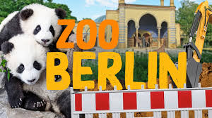 Ihre zahlung mit google pay wird vorbereitet. Zoo Berlin Zoo Eindruck 2020 Youtube