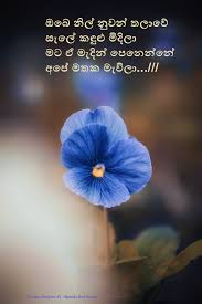 We did not find results for: Viraha Gee à·€ à¶»à·„ à¶œ Sinhala Sad Songs Photos Facebook