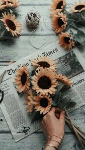 Pikbest have found 60 aesthetic word documents with creative theme,background and format idea. Newspapers Sunflowers And Wallpapers Image 7655773 On Favim Com