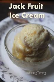 Birds Custard Powder Recipes Ice Cream Jack Fruit Ice Cream Recipe Fruit Ice Cream Recipe Jackfruit Cream Recipes