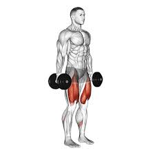 Beine ohne gewicht trainieren & beinmuskeln mit dem körpergewicht aufbauen. Beintraining Muskelaufbau Zuhause Top 4 Bilder Videos