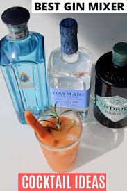 Top 10 imported alcoholic drinks in the philippines. Best Gin Mixers For Easy Homemade Cocktail Drinks Dobbernationloves