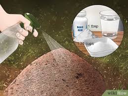 <i>tiny game hunting</i>, (2001), isbn. How To Kill Ants Outside 11 Steps With Pictures Wikihow