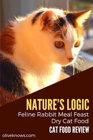 Nature S Logic Feline Rabbit Meal Feast Dry Cat Food Review Oliveknows Cat Food Reviews Dry Cat Food Cat Food