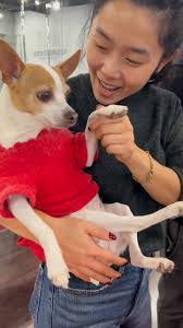 It's spooky season at the studio! 👻 • • 🧙: @chuloopy and @linhledoesthings