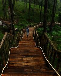 Harga Tiket Masuk Orchid Forest Cikole Lembang Agustus 2021 Wisatakaka