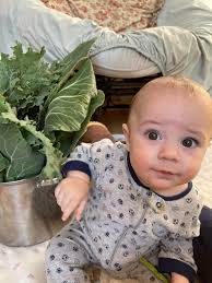 Never too early to get our nipotini involved with gardening!