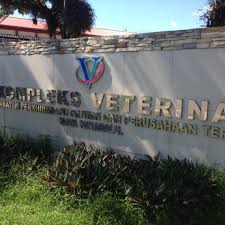 Program pembangunan industri ternakan laman web rasmi jabatan perkhidmatan veterinar negeri johor. Jabatan Haiwan Kepayan Government Building In Kota Kinabalu