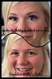 Dandelion Willie's Salon