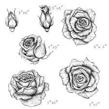 Hand Drawn Rose Clipart Black And White Floral Clipart Wedding Clipart Botanical Line Art Rose Png Digital Download In 2021 Roses Drawing Black And White Rose Tattoo White Rose Tattoos