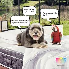 Bu Hafta Pazartesi Degil Carsamba Sendromu Var Pazartesi Sendrom Tatil Iyibayramlar Tatiller