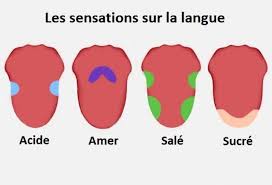 Epingle Sur Vinsocialclub