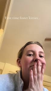 Cute First Time Foster Kitties in Need of Names