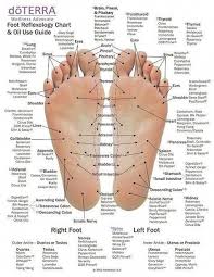 Yoga Tips And Techniques For Bedroom Design Bedroomdesign Foot Reflexology Reflexology Essential Oils Reflexology Foot Chart