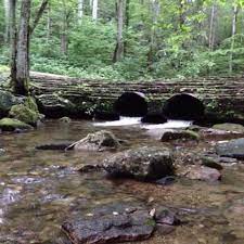 17/75 north for 6 miles to campground sign. Andrews Cove Nf Campground Helen Georgia Rv Parks Mobilerving Com