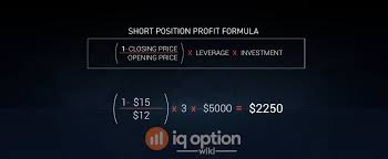 Compare your cryptocurrency value with your investment to track your profit with this cryptocurrency profit calculator! How To Calculate Profit With Cfd Trading Iq Option Wiki