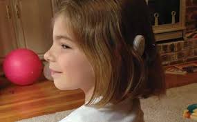 Virginia's Resource Guide