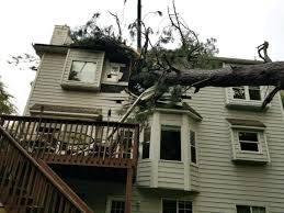 Tree Vs House When Mother Nature Comes Crashing In Call Our Emergency Service Team To Get Your Home Secured And Remodeling Renovation Restoration House Styles