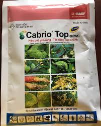 Cabrio Top 600WG.