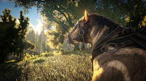 Dynamic Generated Map Ark Procedurally Generated Maps - Ark: Survival Evolved Wiki