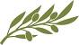 Clipart Olive Leaf