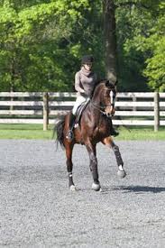 See more ideas about aesthetic, krystal fx, jeanne damas style. 170 Dressage Aesthetic Ideas Dressage Dressage Horses Horses