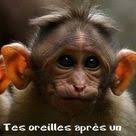 Jun 10, 2021 jun 10, 2021 by dailymotion. Port Du Masque Obligatoire Images Droles Humour Image Humour Images Droles