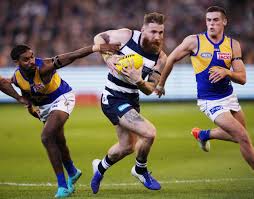Official instagram of the geelong football club #wearegeelong www.geelongcats.com.au. 9 Afl Clubs Featuring Irish Players To Keep An Eye Out For In 2020