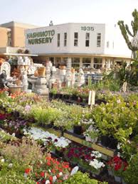 Free cna classes in los angeles. History Hashimoto Nursery