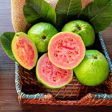 Image result for Psidium guajava